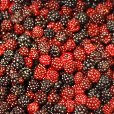 Backberry Jam Recipe