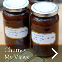 How to make Chutney - My Views