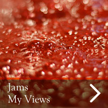 How to Make Jams - My Views