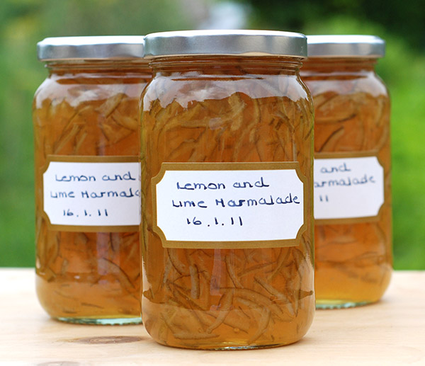 lemon marmalade