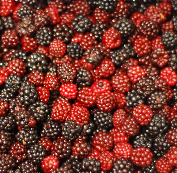 Grow raspberries and blackberries