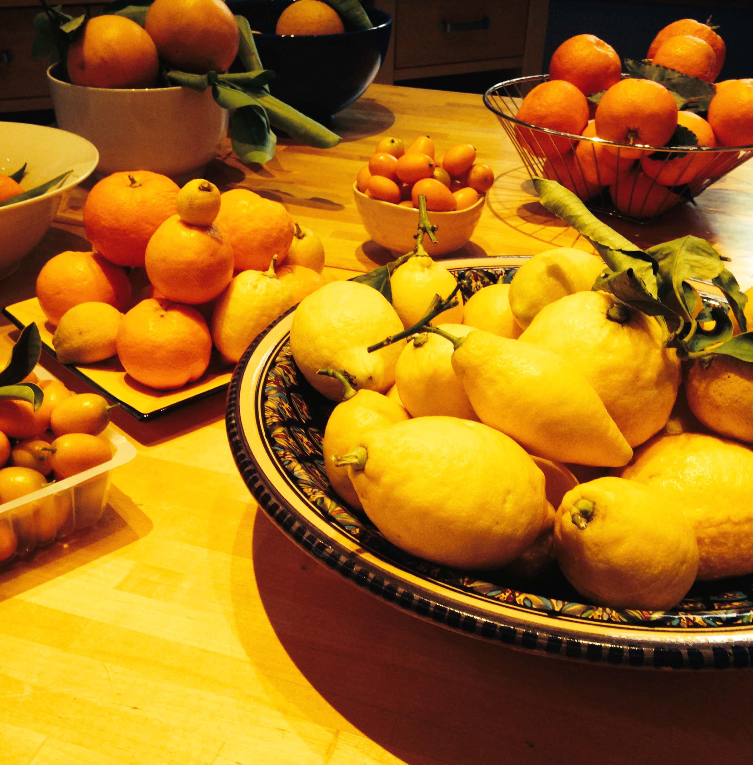 Fruit for maramalde