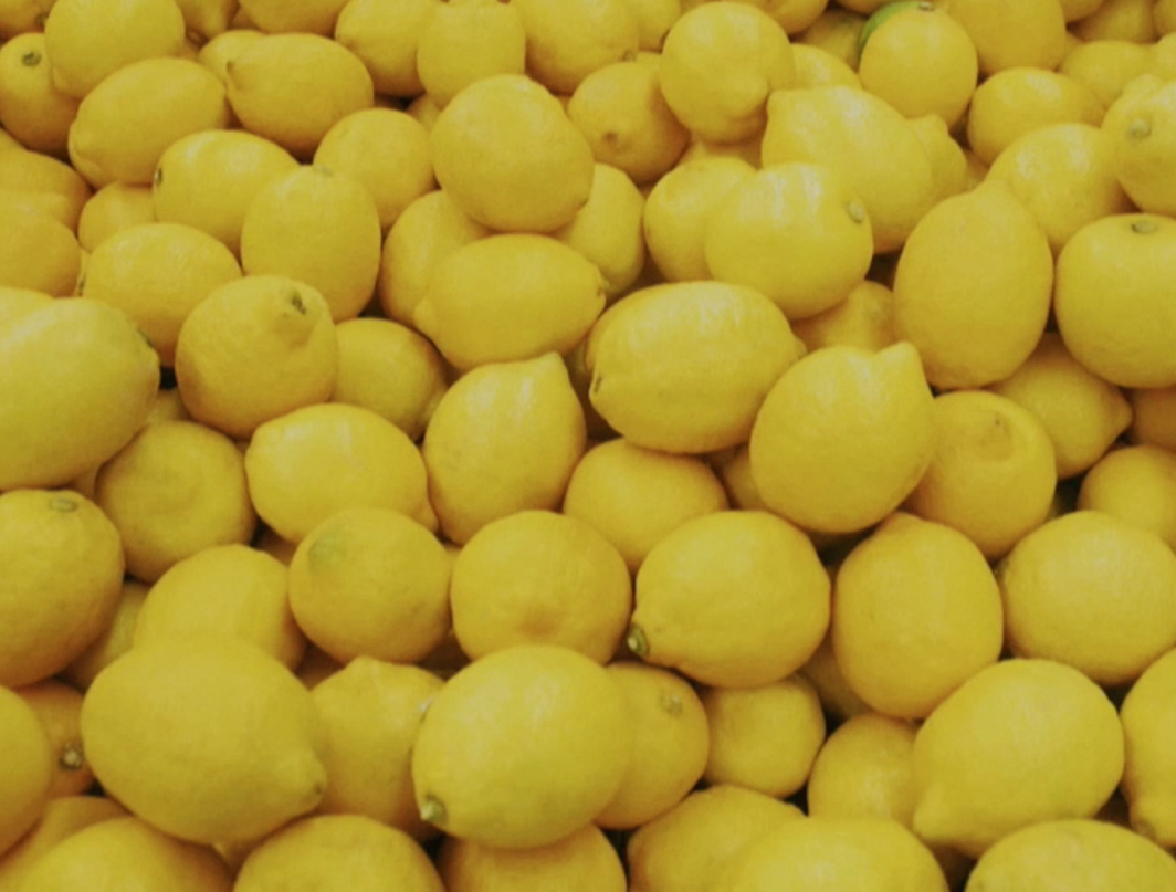 lemons for preserves
