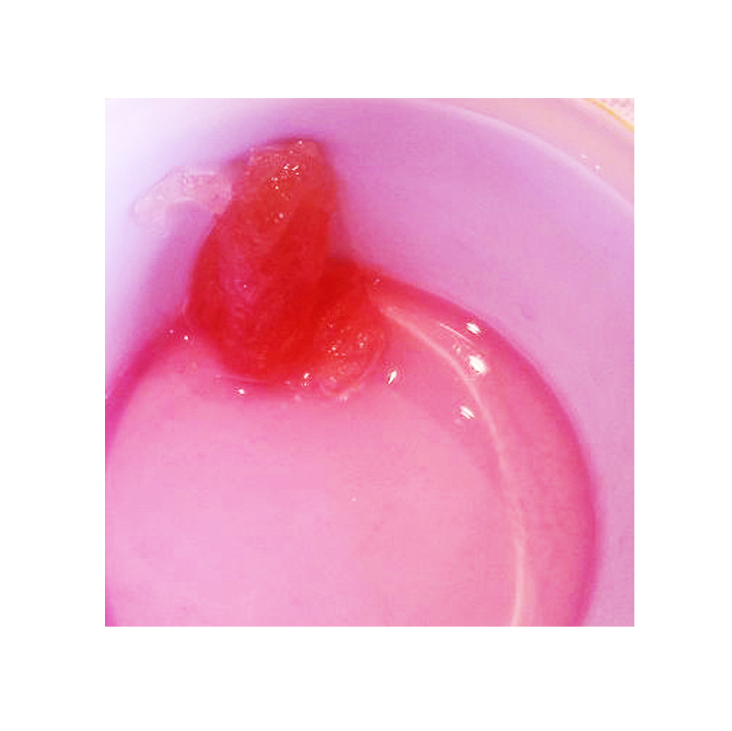 how do I test for pectin