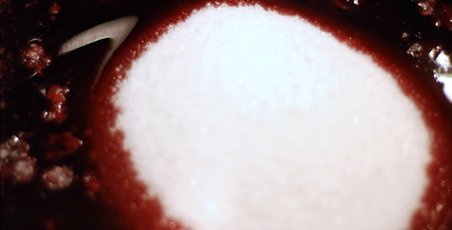How to make jam - adding the sugar