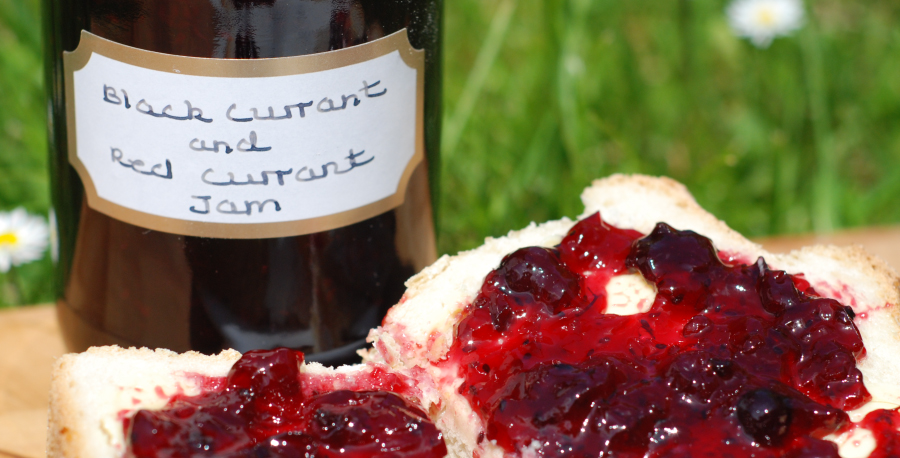 how to make Black Currant Jam