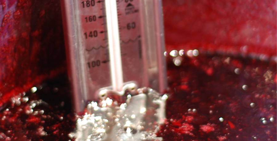 How to make jam - temperature test