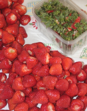 Strawberries for jam