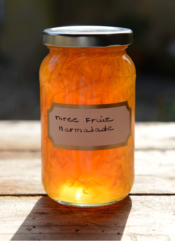 Three Fruit Marmalade recipe