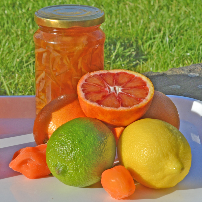 Blood Orange, Lime and Chilli Marmalade Vivien Lloyd Inspirational